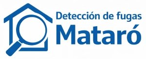 Logotipo del sitio de formulario instantáneo